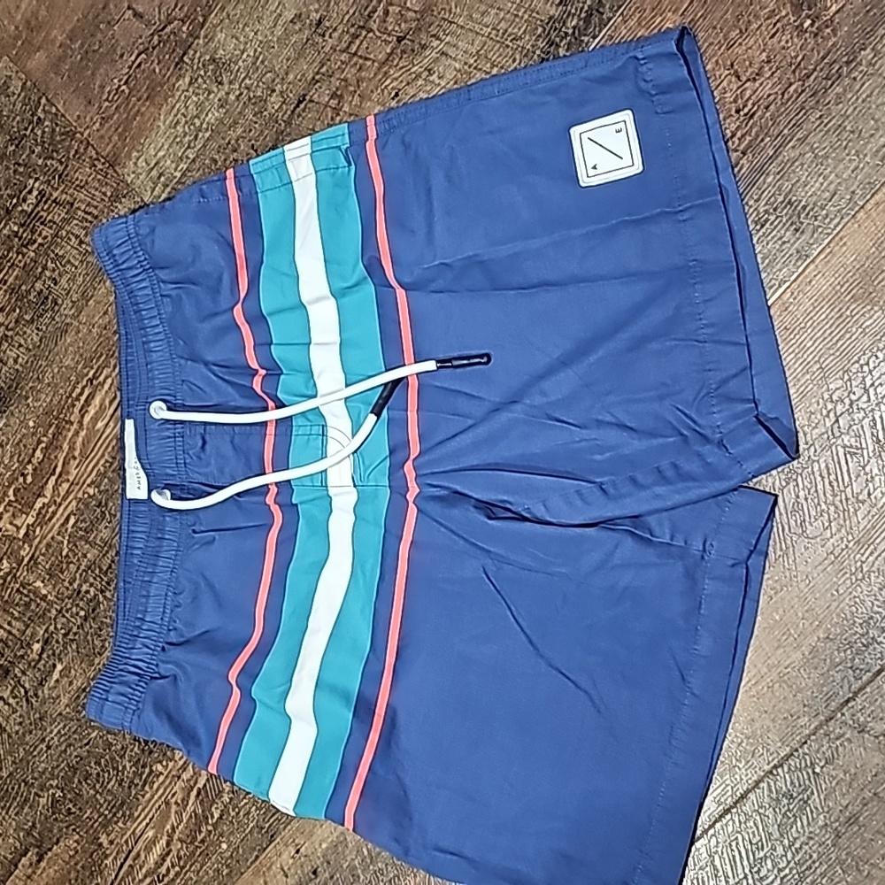 American Eagle Outfitters Blue Swim Trunks with Stripes Men's Size Small